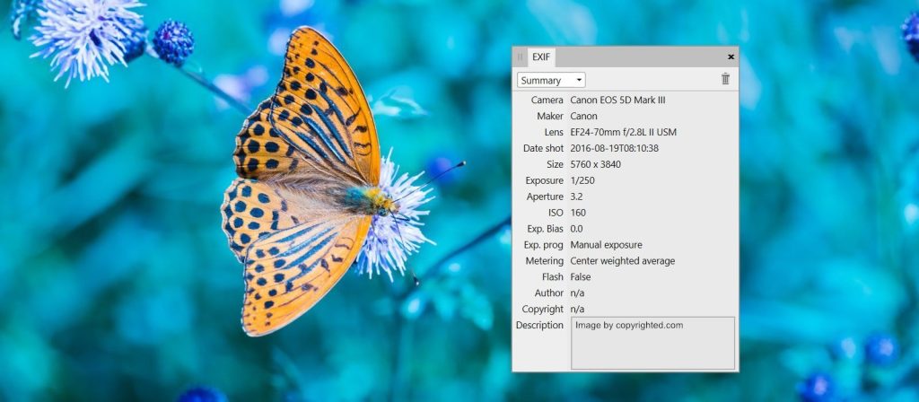 The EXIF data of butterfly image.