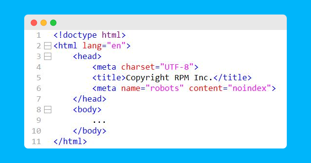 Example of using a noindex tag in HTML code.