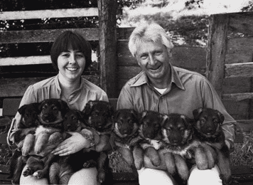 Photograph of Puppies by Art Rogers, 1985.