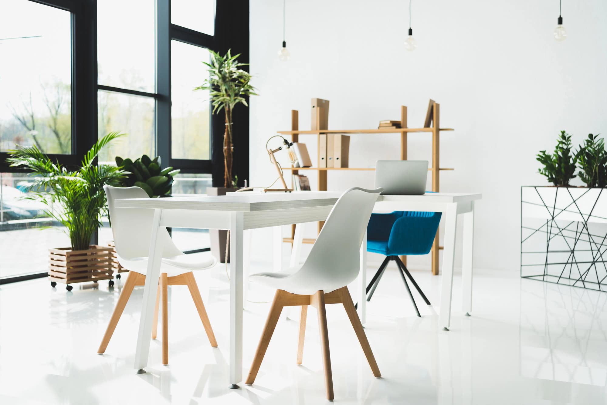 A modern, minimalist office space with white furniture, wooden and blue chairs, a laptop on a desk, large windows, potted plants, and a wooden shelf with books.